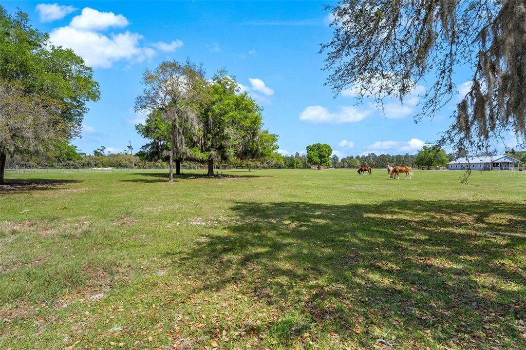 For Sale: $399,000 (10.00 acres)