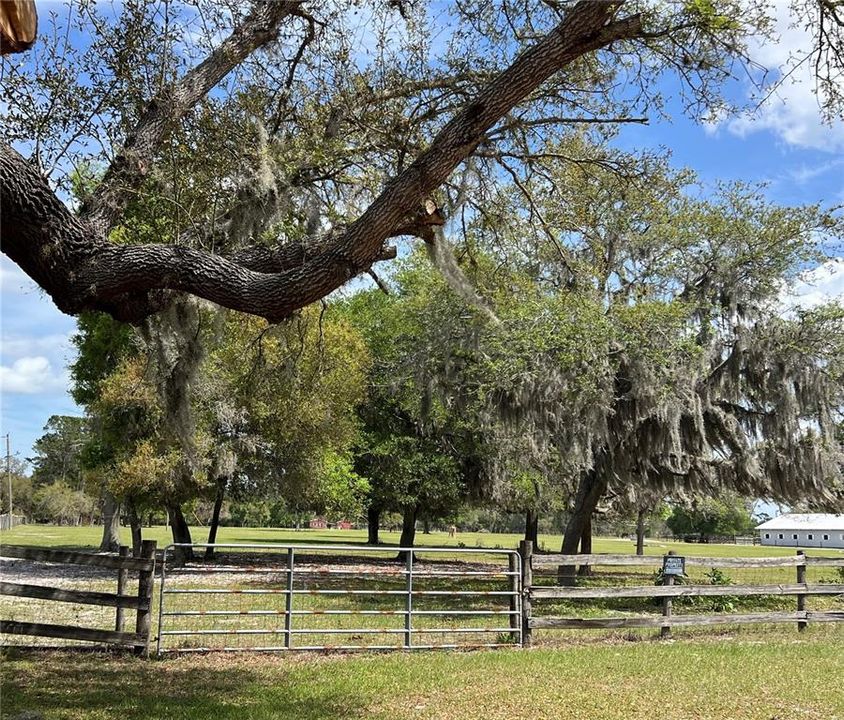 For Sale: $399,000 (10.00 acres)