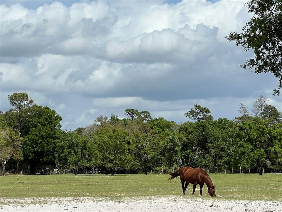 For Sale: $399,000 (10.00 acres)