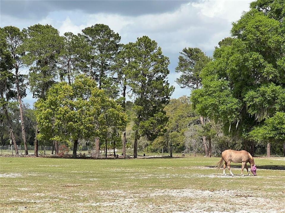 For Sale: $399,000 (10.00 acres)