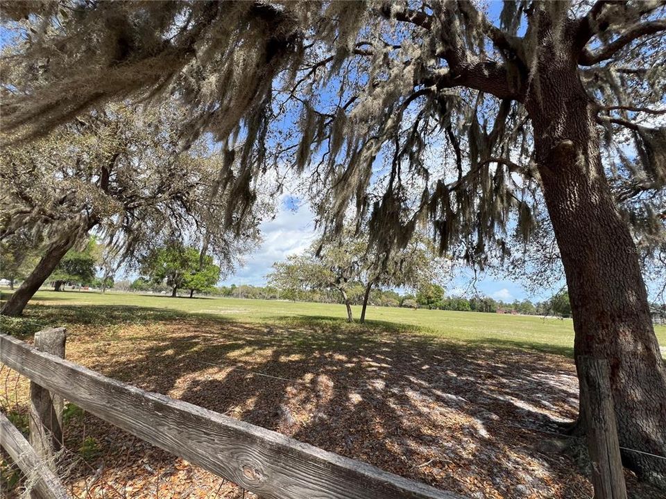 For Sale: $399,000 (10.00 acres)