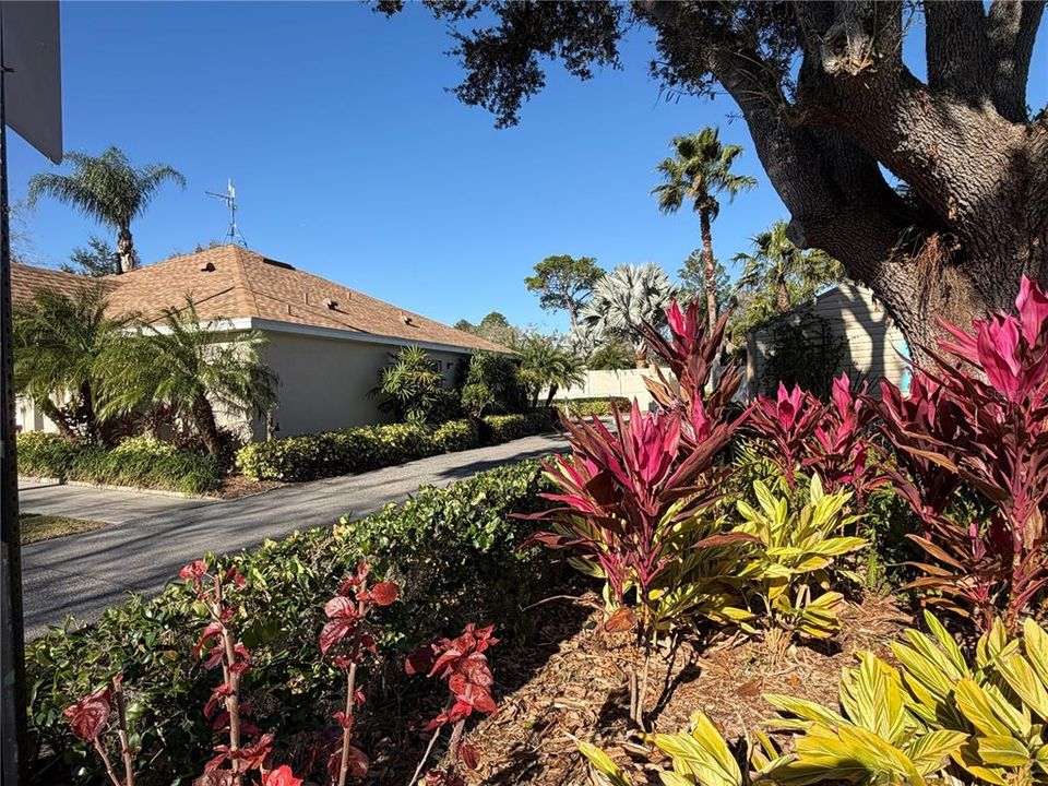 待售: $104,500 (0.04 acres)