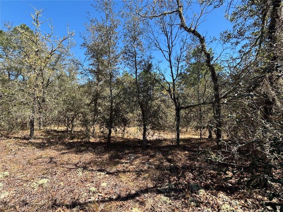 待售: $35,000 (1.00 acres)