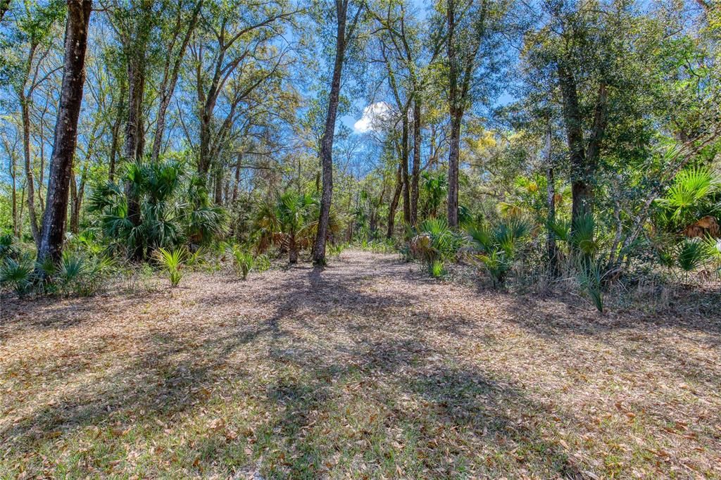 На продажу: $700,000 (1.45 acres)