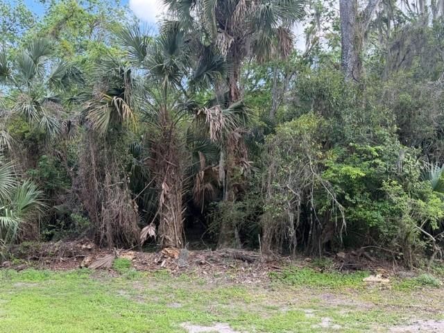 For Sale: $135,000 (1.13 acres)