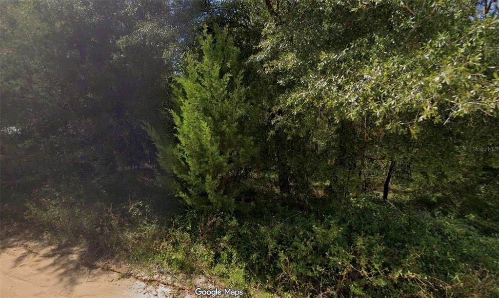 待售: $17,000 (0.34 acres)