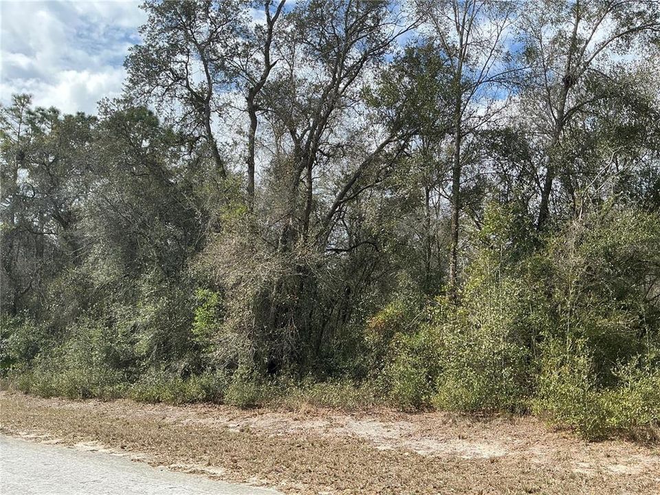 На продажу: $35,000 (1.10 acres)