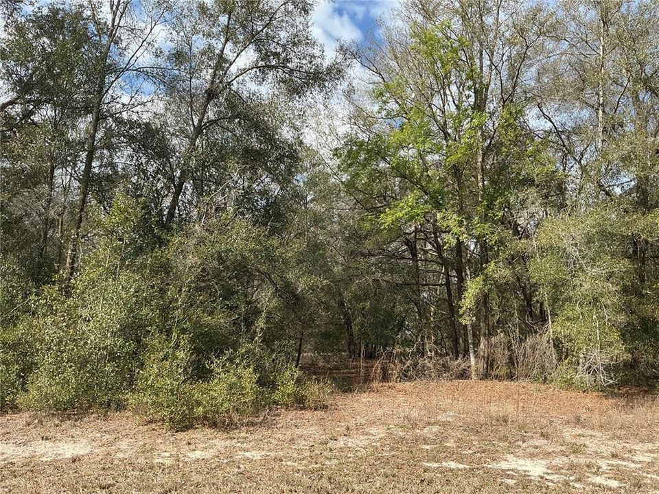 На продажу: $35,000 (1.10 acres)