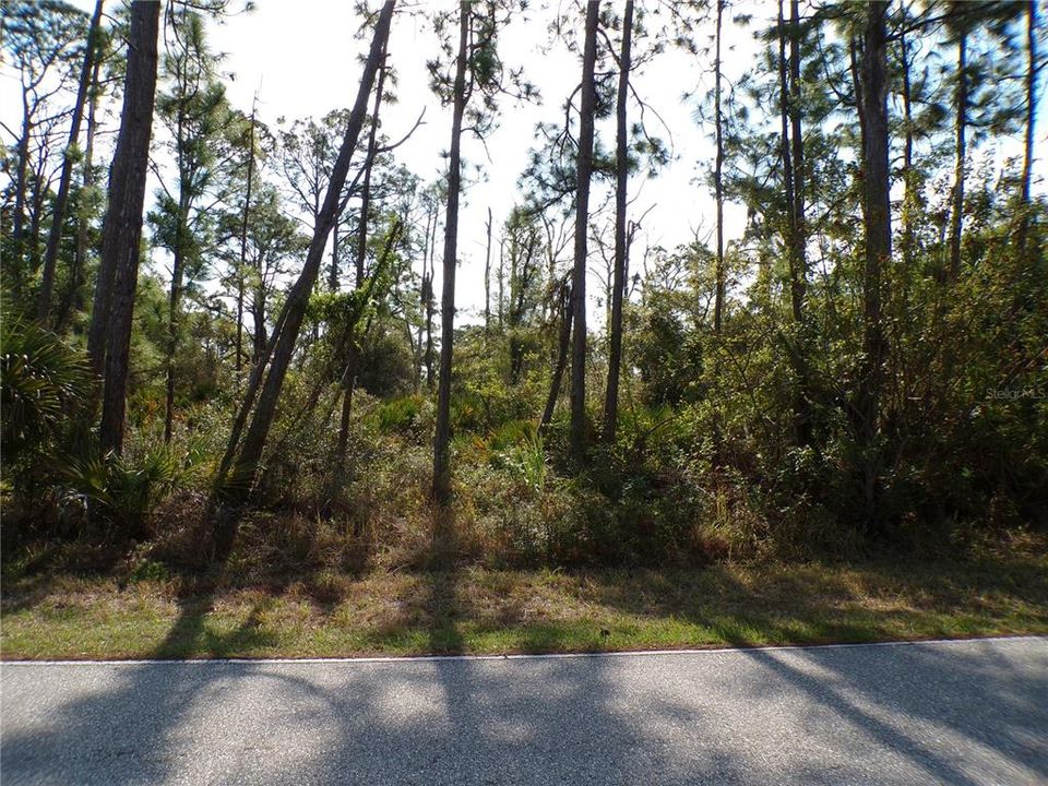 На продажу: $15,000 (0.26 acres)