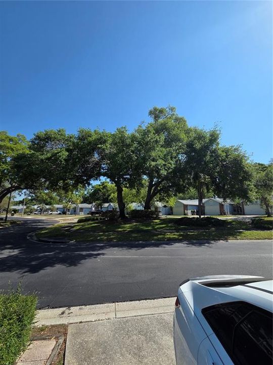 En Venta: $275,000 (2 camas, 2 baños, 976 Pies cuadrados)