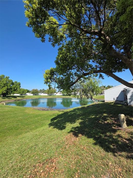 En Venta: $275,000 (2 camas, 2 baños, 976 Pies cuadrados)