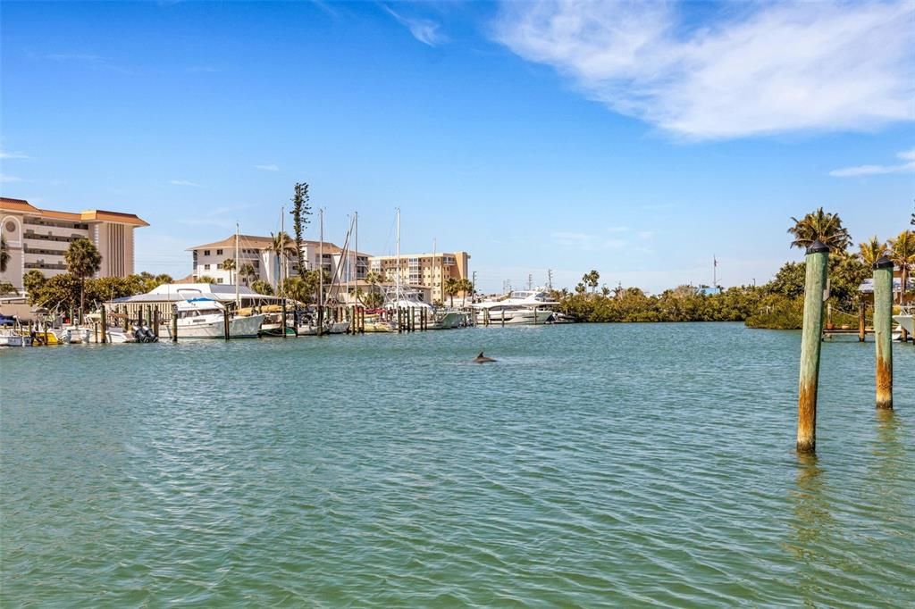 待售: $1,750,000 (0.34 acres)