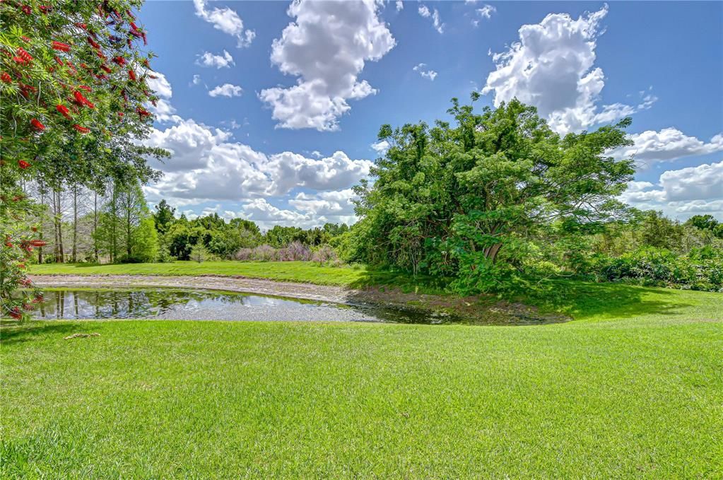 For Sale: $999,900 (4 beds, 3 baths, 3709 Square Feet)