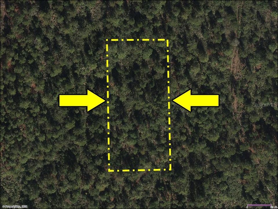 待售: $42,500 (1.22 acres)
