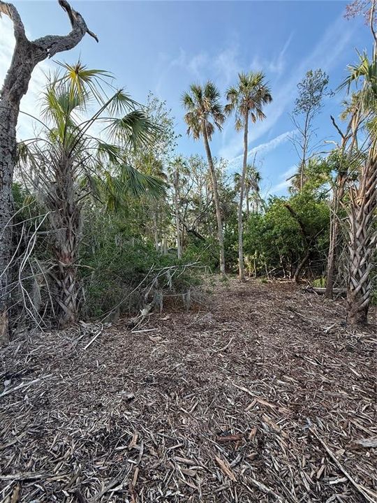 На продажу: $21,000 (0.09 acres)