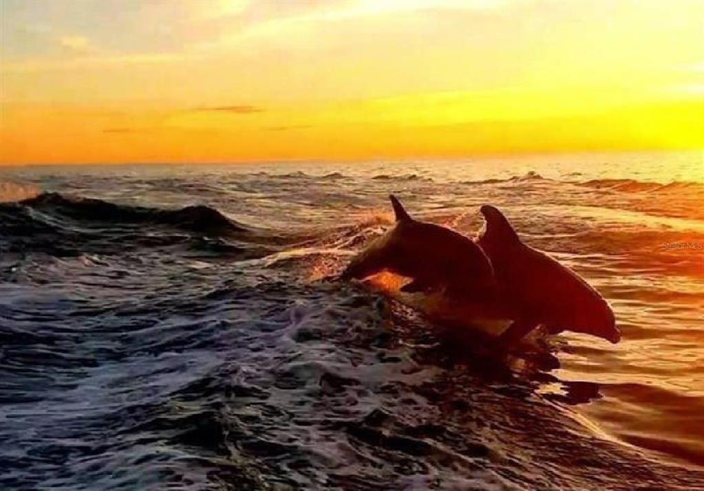 На продажу: $489,900 (3 спален, 2 ванн, 1420 Квадратных фут)