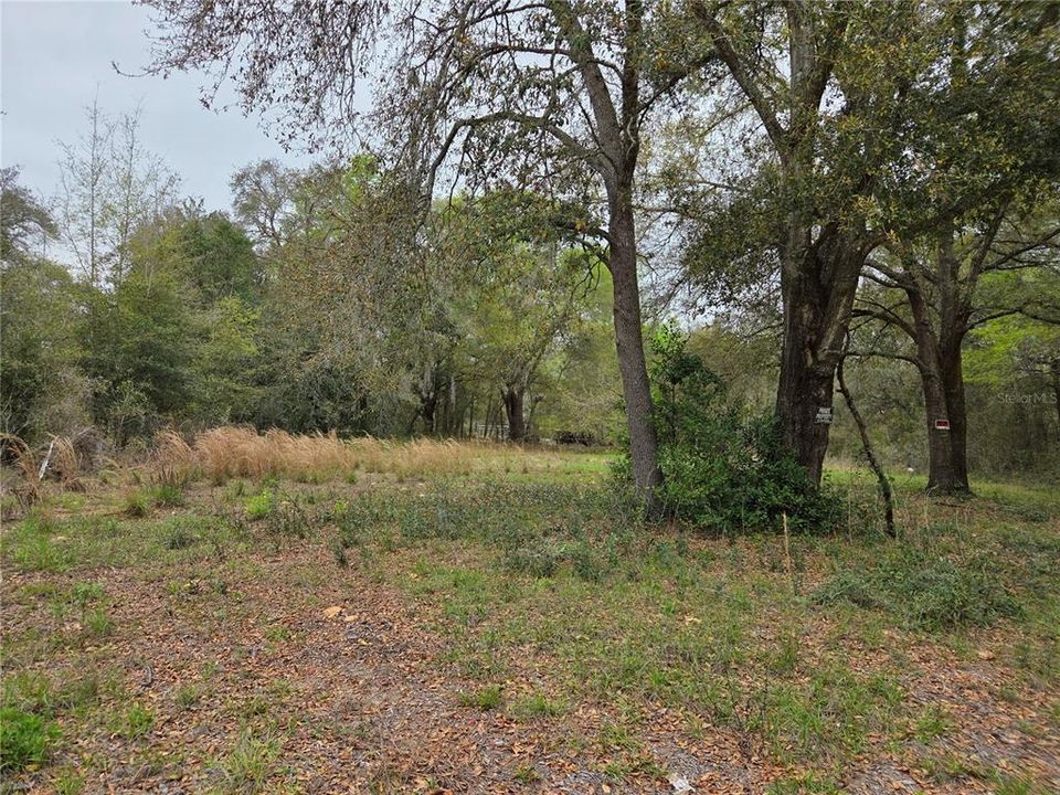 For Sale: $12,000 (0.31 acres)