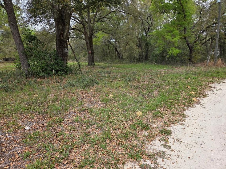 For Sale: $12,000 (0.31 acres)