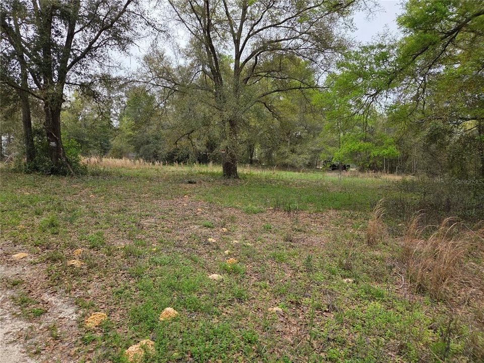 For Sale: $12,000 (0.31 acres)