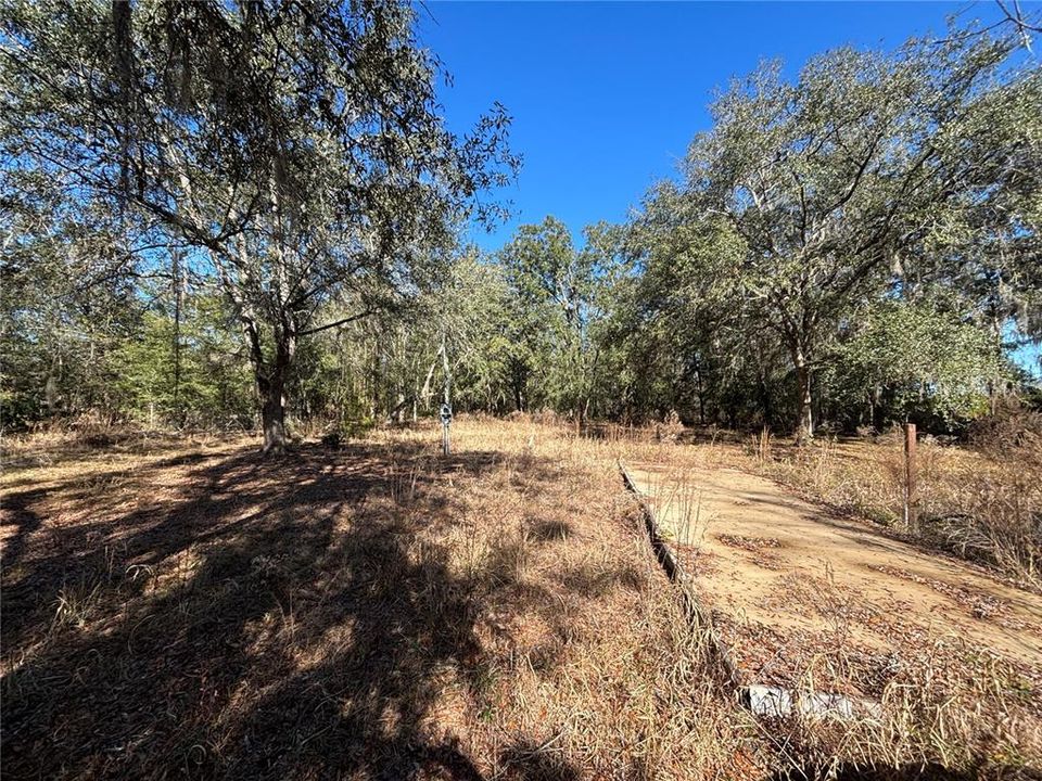 For Sale: $100,000 (5.01 acres)