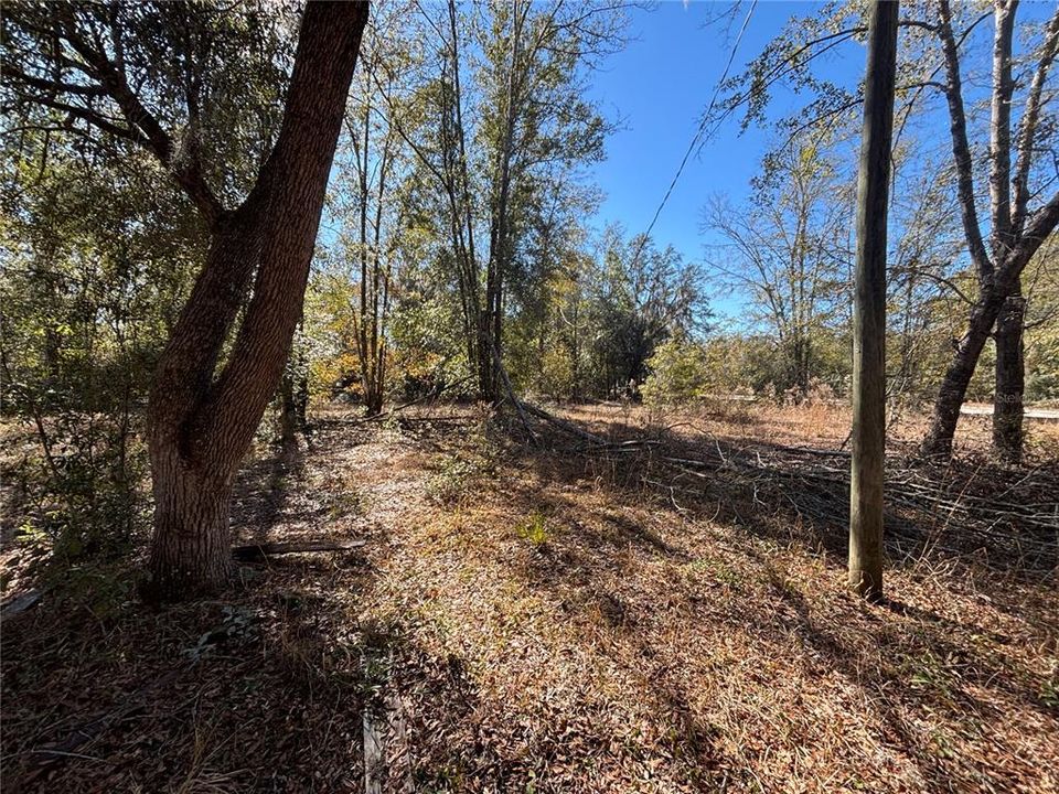 For Sale: $100,000 (5.01 acres)