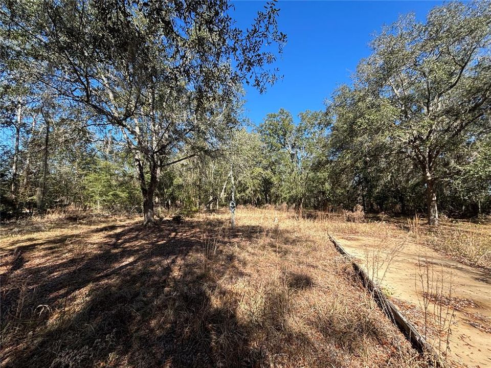 For Sale: $100,000 (5.01 acres)