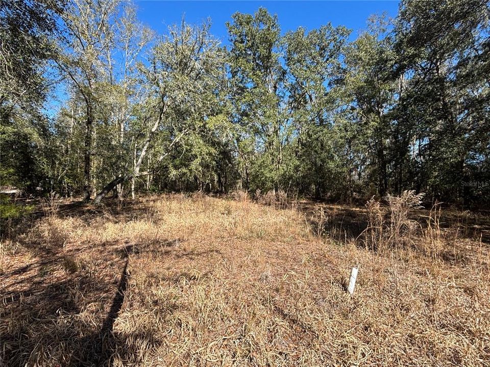 For Sale: $100,000 (5.01 acres)