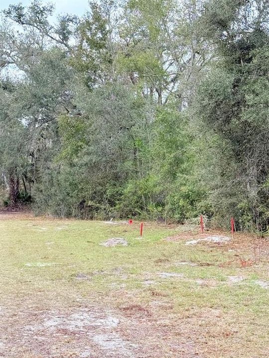 En Venta: $59,900 (2.49 acres)