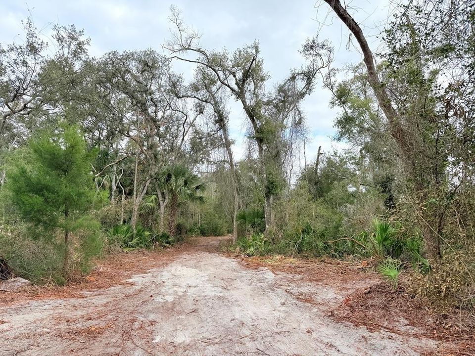 En Venta: $59,900 (2.49 acres)