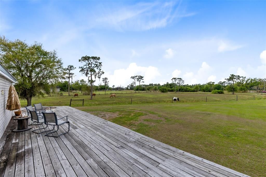 For Sale: $575,000 (4 beds, 2 baths, 1619 Square Feet)