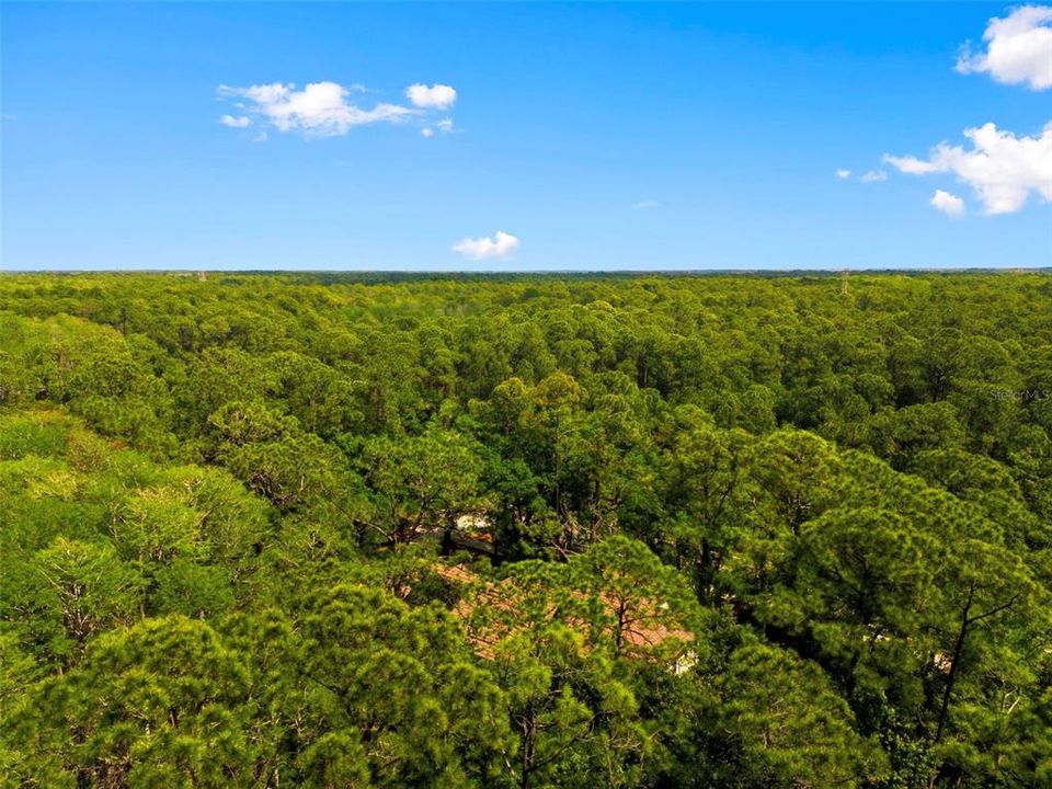 En Venta: $1,300,000 (4 camas, 3 baños, 3432 Pies cuadrados)