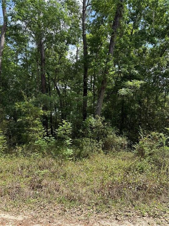 待售: $13,999 (0.23 acres)