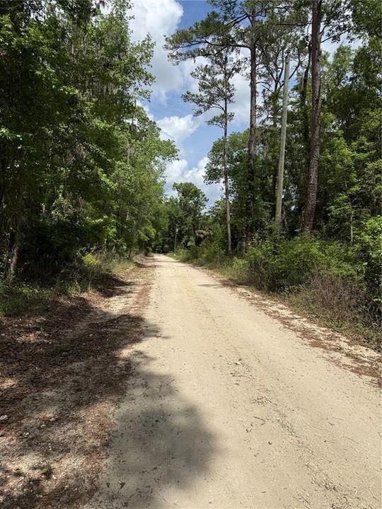 待售: $13,999 (0.23 acres)