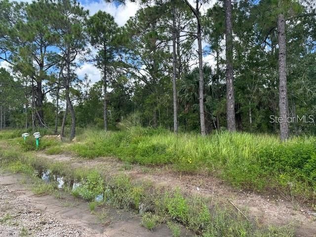 На продажу: $39,900 (0.17 acres)