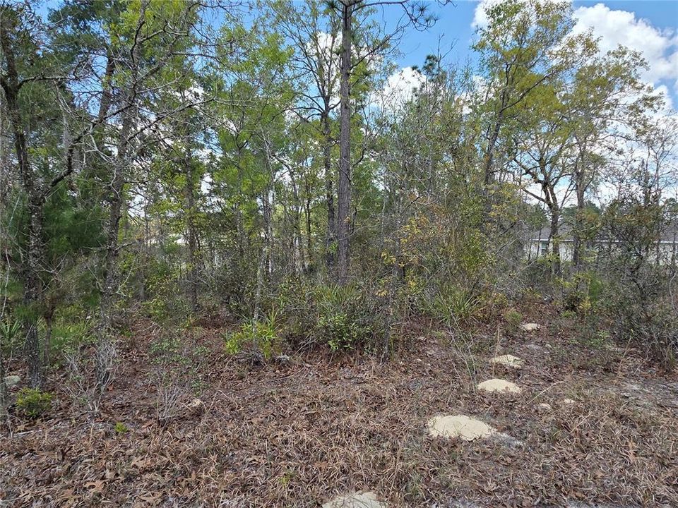 На продажу: $37,500 (0.22 acres)
