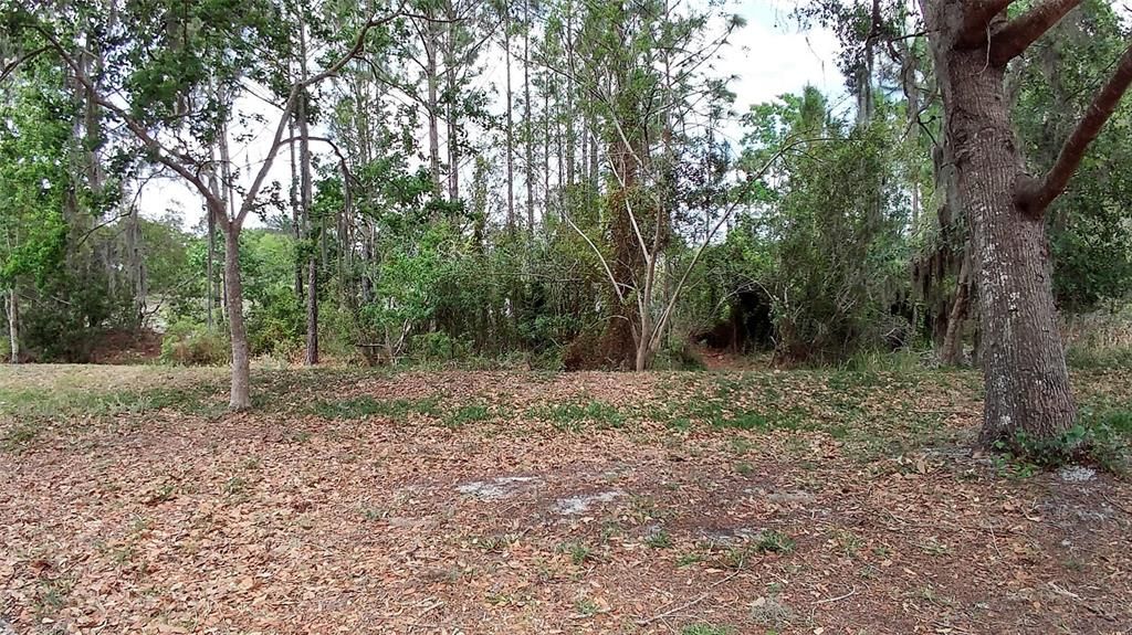 For Rent: $2,700 (4 beds, 2 baths, 1815 Square Feet)