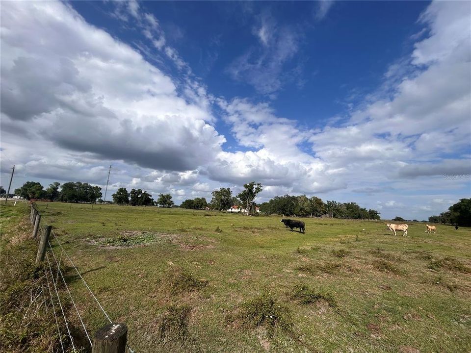 待售: $450,000 (8.96 acres)