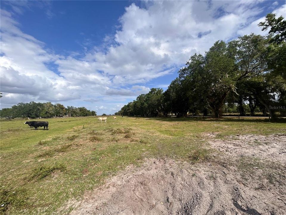 待售: $450,000 (8.96 acres)