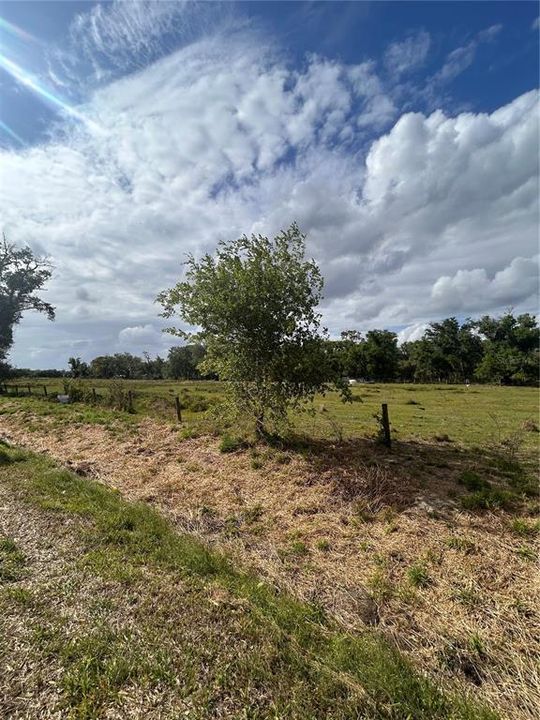 待售: $450,000 (8.96 acres)