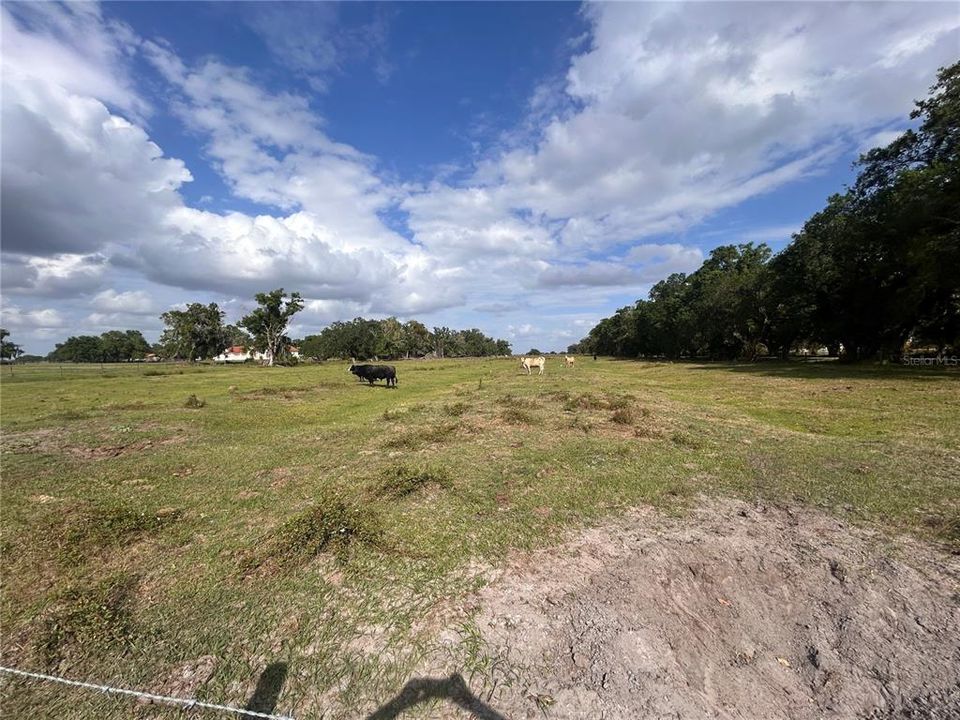 待售: $450,000 (8.96 acres)