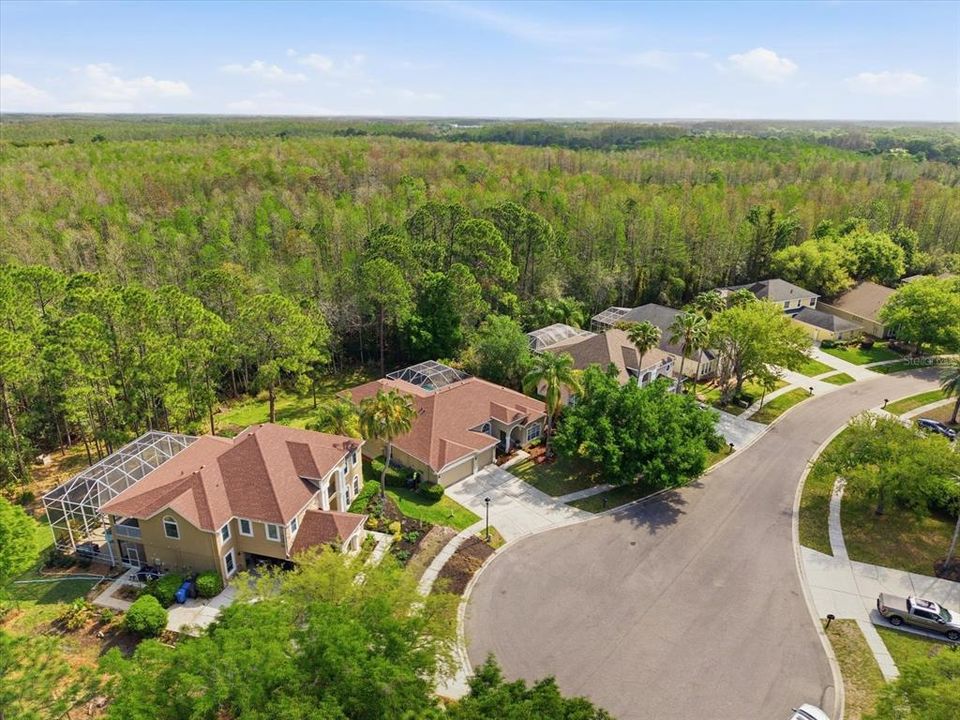 На продажу: $1,179,000 (4 спален, 3 ванн, 3296 Квадратных фут)