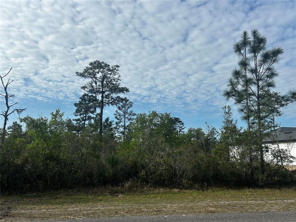 На продажу: $17,000 (0.50 acres)