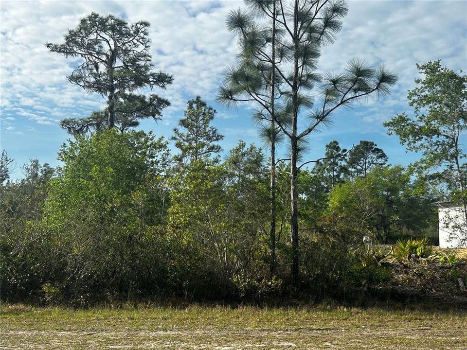 На продажу: $17,000 (0.50 acres)