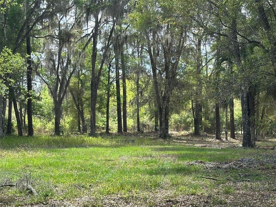 En Venta: $749,000 (4 camas, 2 baños, 1640 Pies cuadrados)