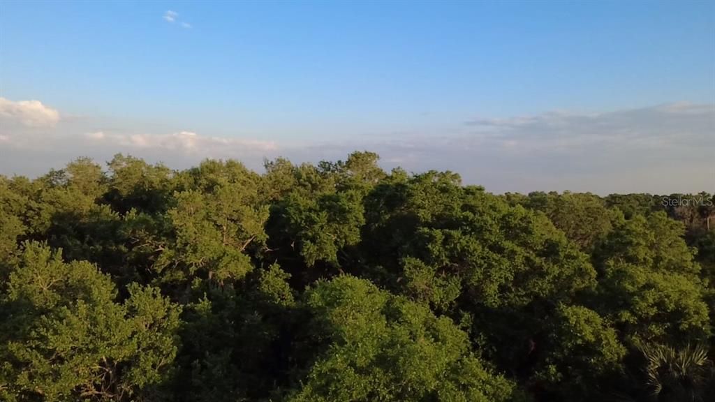 На продажу: $449,000 (3.09 acres)