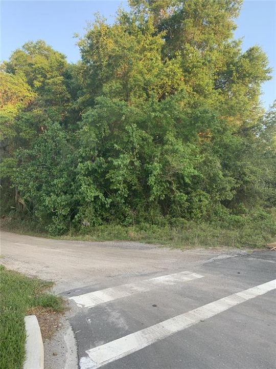 На продажу: $449,000 (3.09 acres)