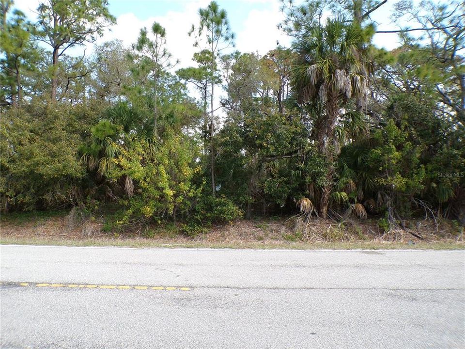 На продажу: $14,990 (0.23 acres)