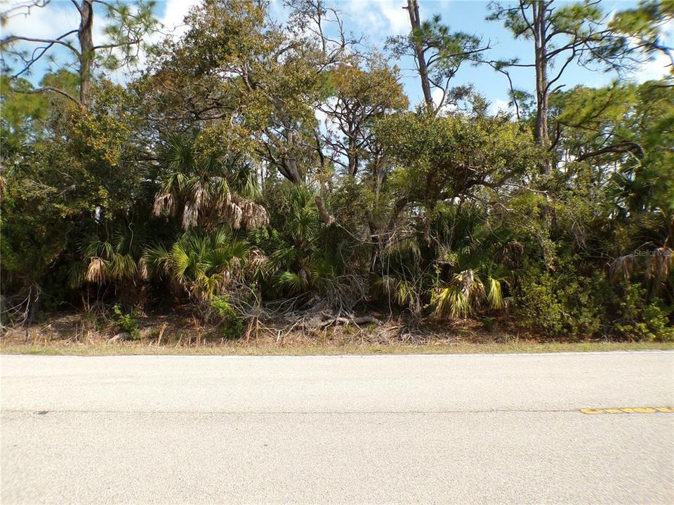 На продажу: $14,990 (0.23 acres)