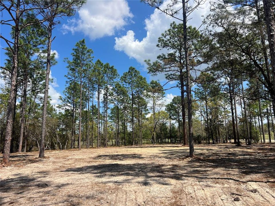 待售: $39,500 (1.00 acres)