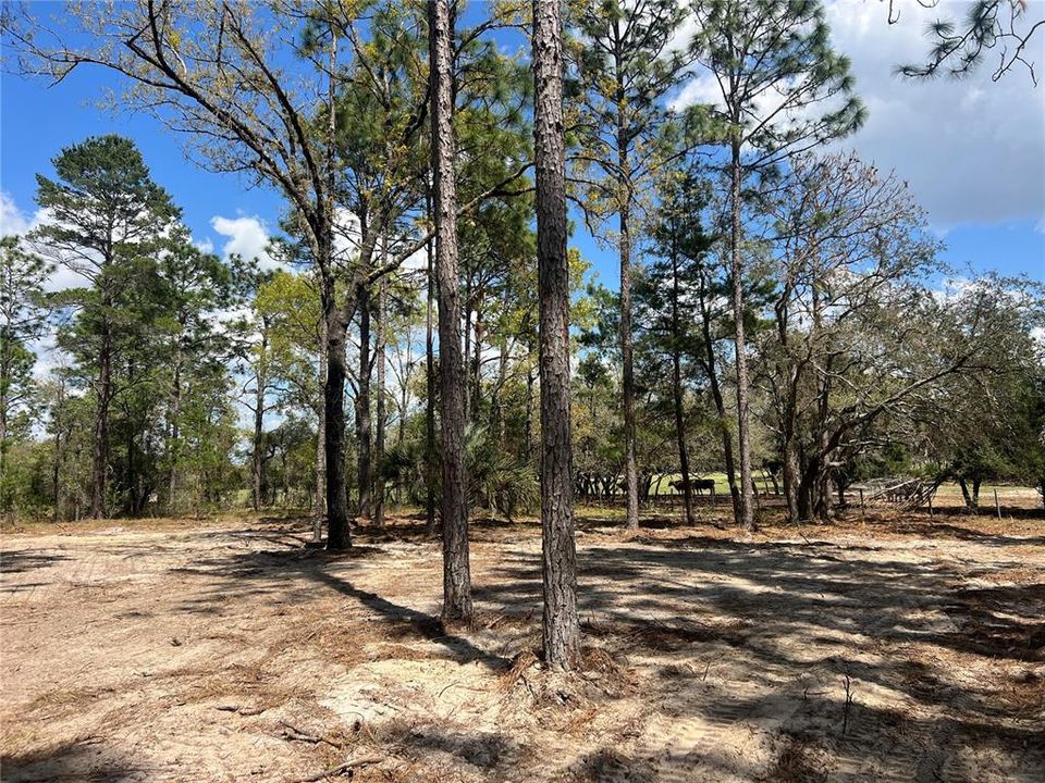 待售: $39,500 (1.00 acres)